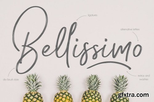 CreativeMarket Pineapple Script 1171551