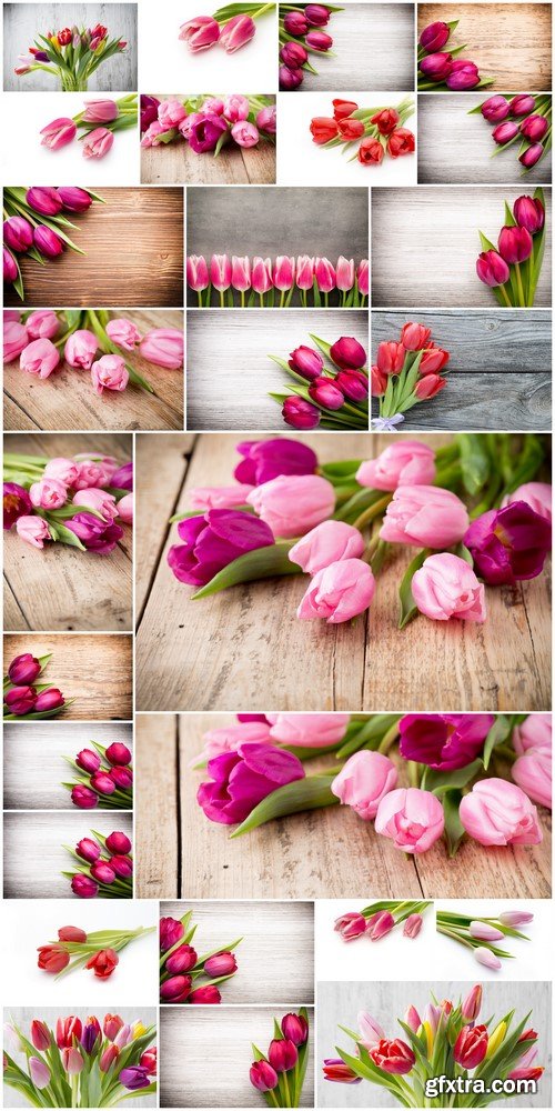 Flowers tulips on a wooden background 27X JPEG