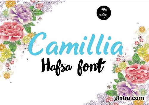 CreativeMarket Hafsa FONT 829829