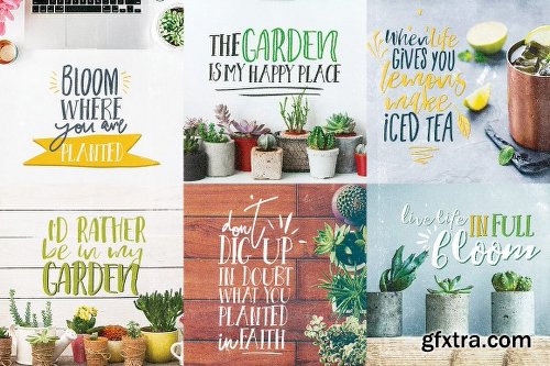 CreativeMarket Needle & Thread Font Family 754516