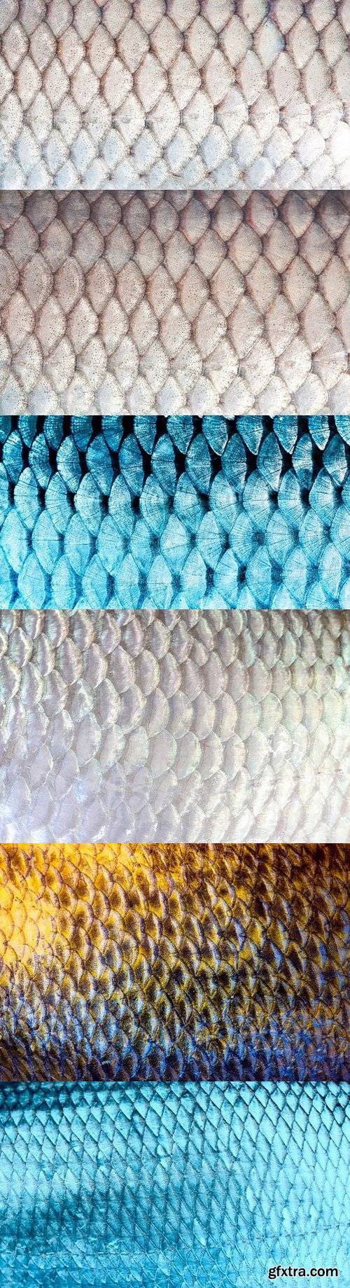 CM - 20 Fish Glitter Scale Textures 1227595