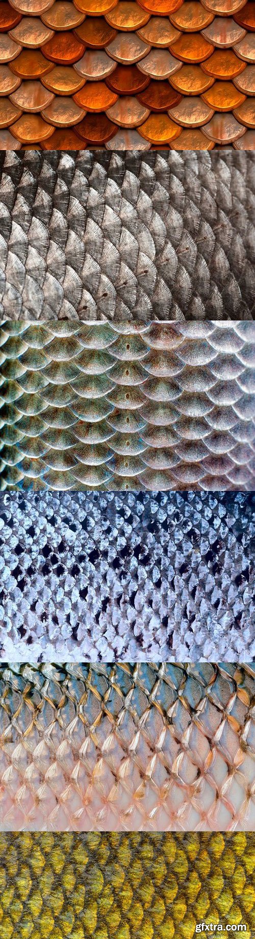 CM - 20 Fish Glitter Scale Textures 1227595