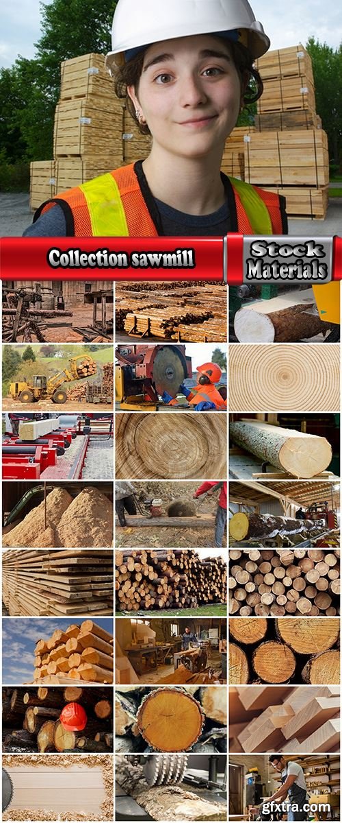 Collection sawmill production of wood a tree felling timber 2-25 HQ Jpeg