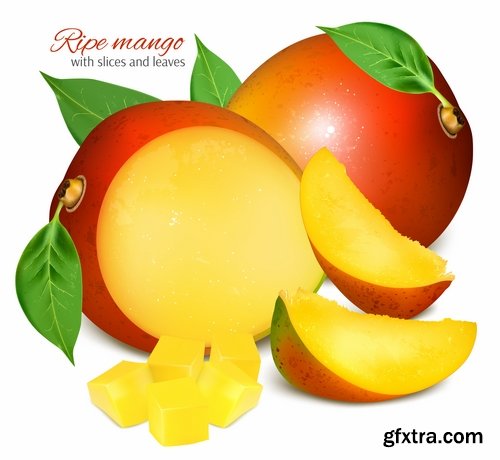 Collection of apple banana coconut orange peach currant berry fruit vector image 25 EPS