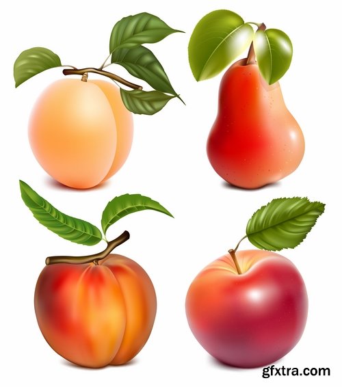 Collection of apple banana coconut orange peach currant berry fruit vector image 25 EPS