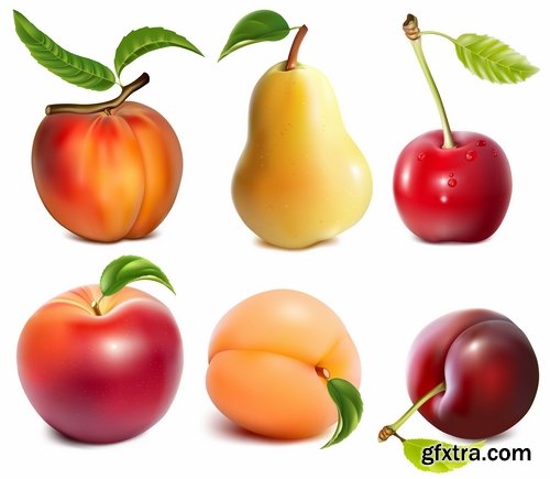 Collection of apple banana coconut orange peach currant berry fruit vector image 25 EPS