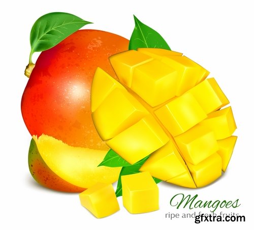 Collection of apple banana coconut orange peach currant berry fruit vector image 25 EPS