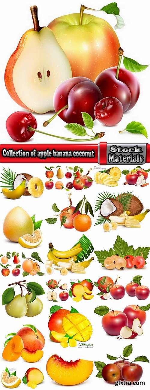 Collection of apple banana coconut orange peach currant berry fruit vector image 25 EPS