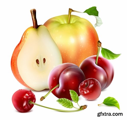 Collection of apple banana coconut orange peach currant berry fruit vector image 25 EPS