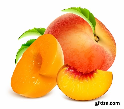 Collection of apple banana coconut orange peach currant berry fruit vector image 25 EPS