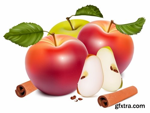 Collection of apple banana coconut orange peach currant berry fruit vector image 25 EPS