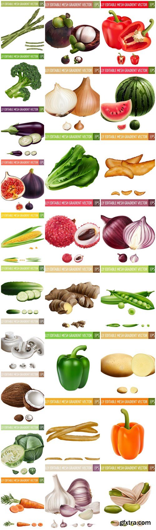 Realistic Vegetables Fruits Set - 26 Vector