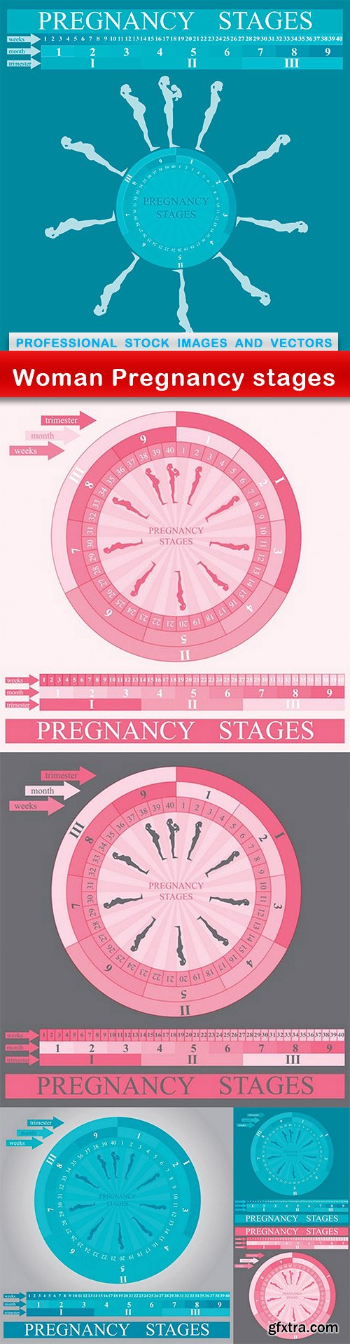 Woman Pregnancy stages - 6 EPS