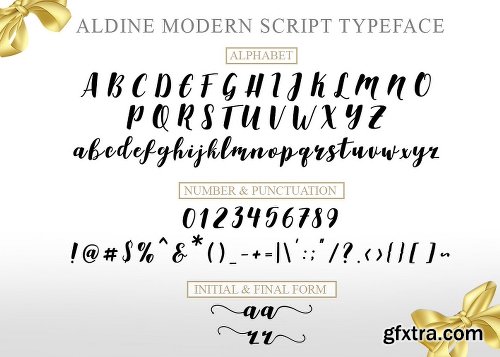 CreativeMarket Aldine Script (20% off) 1178833