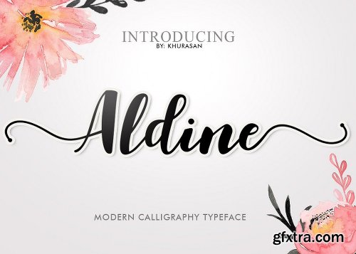 CreativeMarket Aldine Script (20% off) 1178833