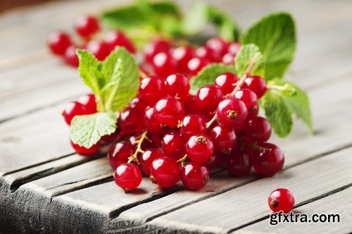 Collection of red currant berry black dessert juice 25 HQ Jpeg