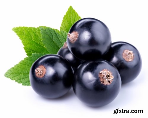 Collection of red currant berry black dessert juice 25 HQ Jpeg