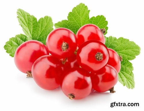 Collection of red currant berry black dessert juice 25 HQ Jpeg