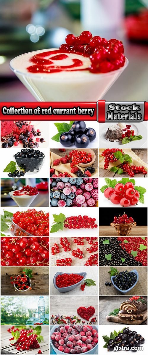 Collection of red currant berry black dessert juice 25 HQ Jpeg