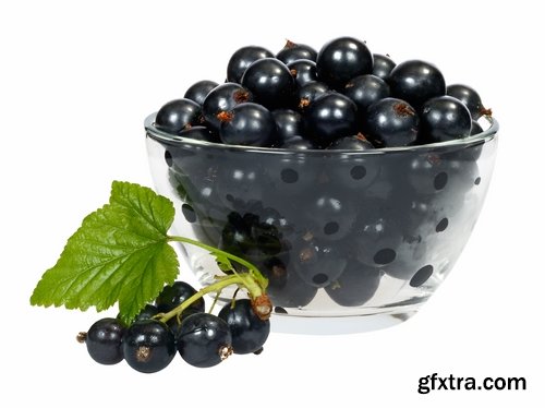 Collection of red currant berry black dessert juice 25 HQ Jpeg