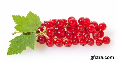 Collection of red currant berry black dessert juice 25 HQ Jpeg