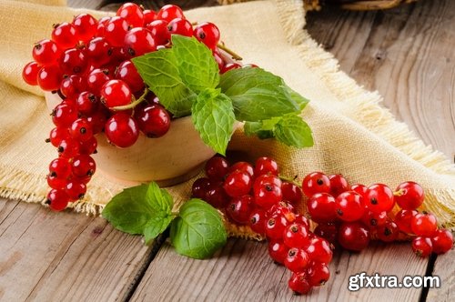 Collection of red currant berry black dessert juice 25 HQ Jpeg