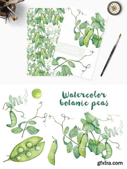 CM - Watercolor botanic peas 301482