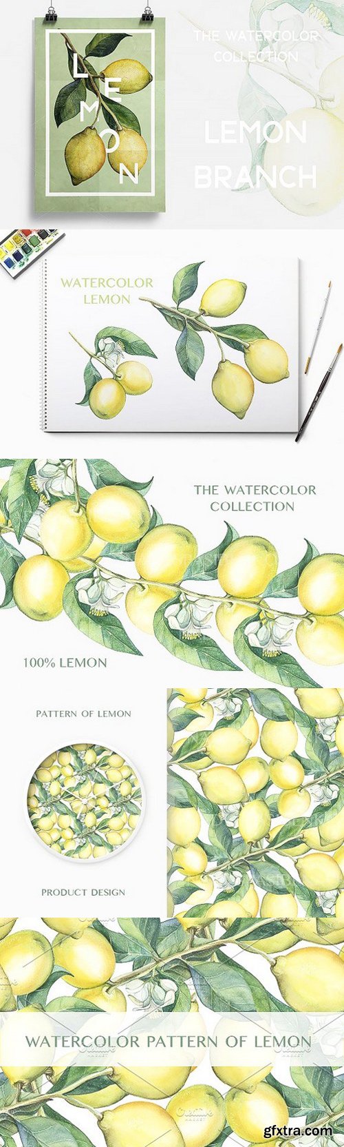 CM - Watercolor lemon branches 287036