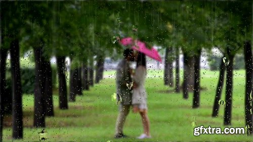 Videohive Rain 19242729