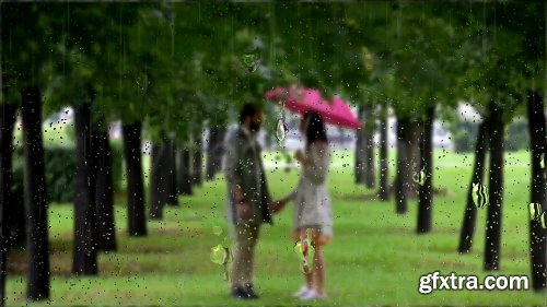 Videohive Rain 19242729