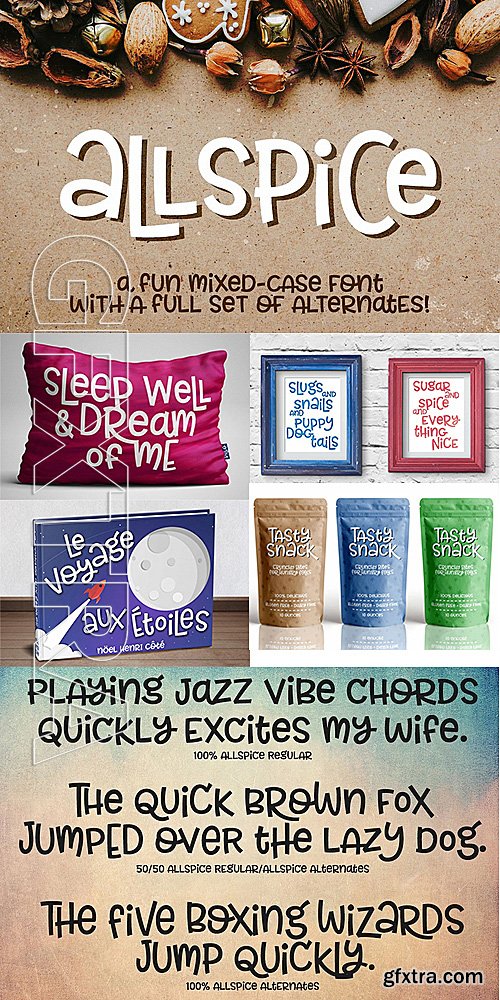 CM - Allspice a fun mixed-case font 1231526