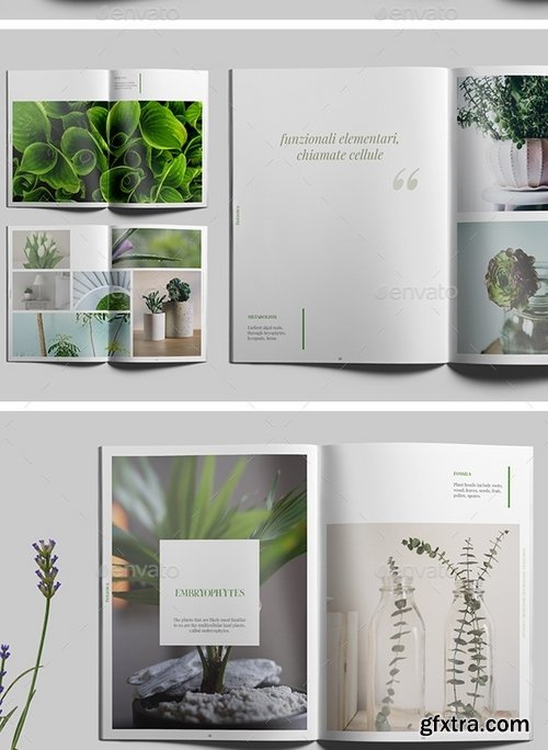 GraphicRiver - Botanica 18222580