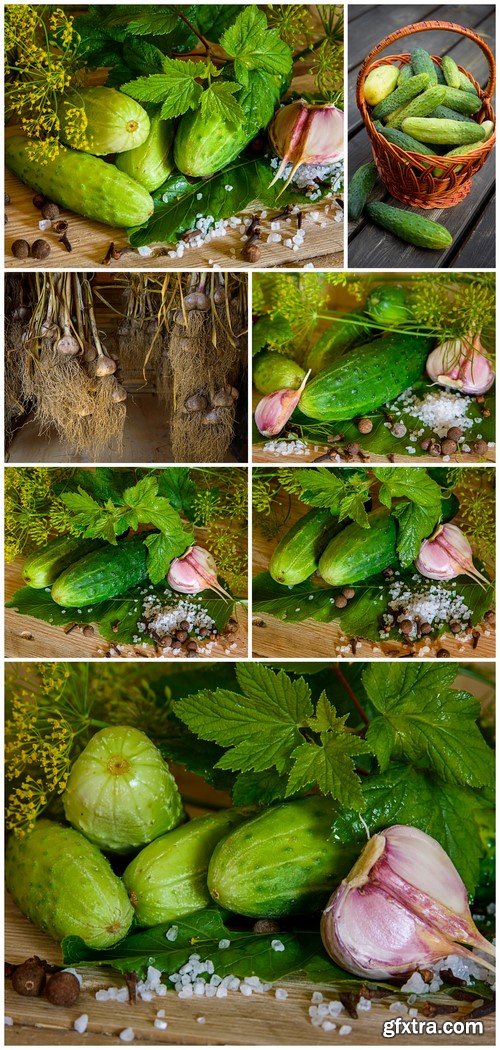 Ripe cucumbers with spices for pickling on a wooden rustic table 7X JPEG