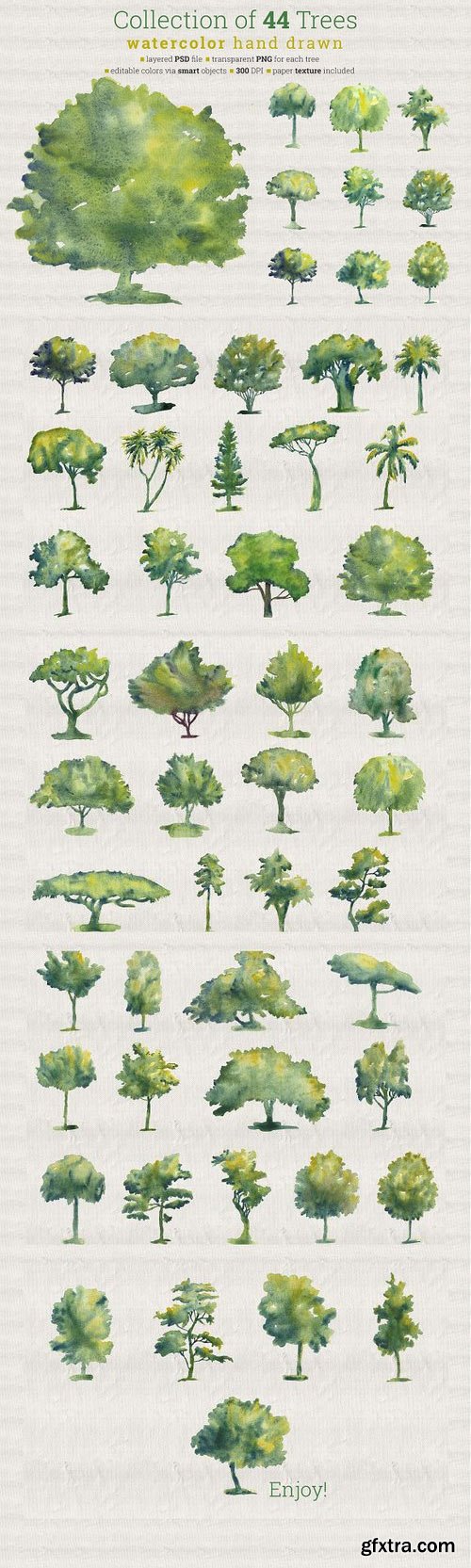 CM - Collection of 44 Watercolor Trees 26427