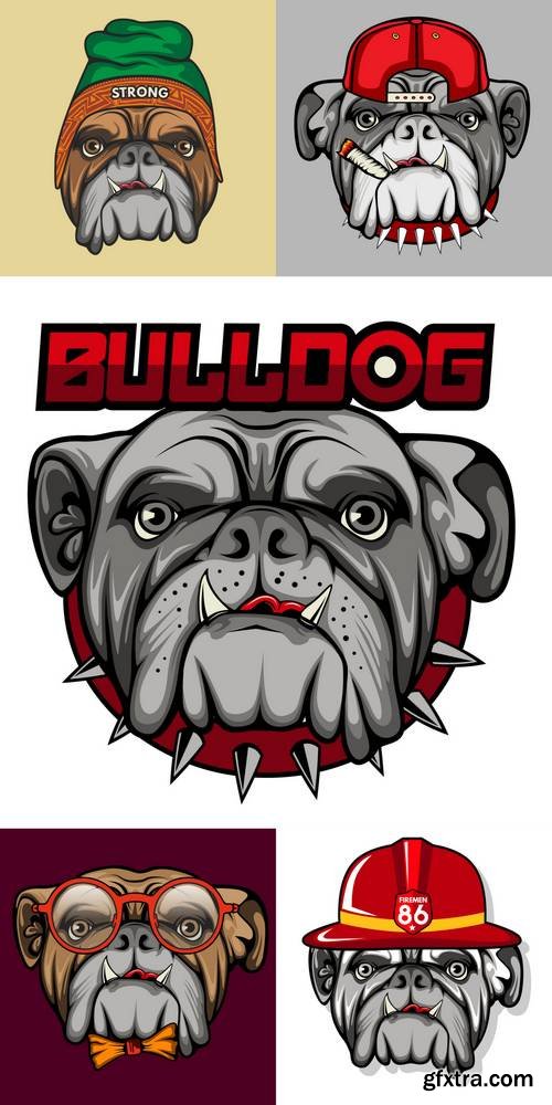 Bulldog