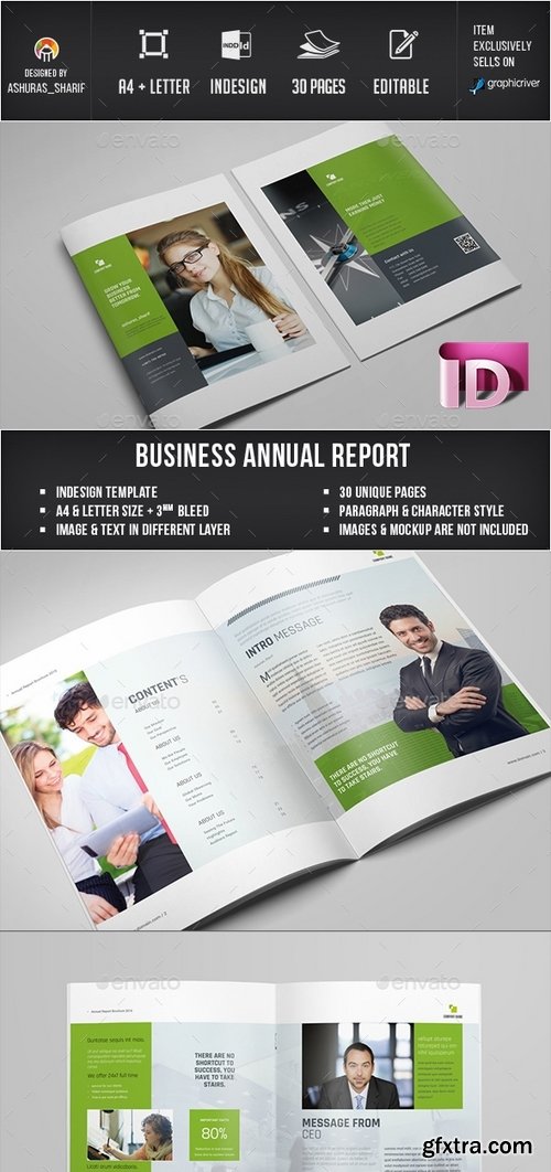 GraphicRiver - Annual Report 13750416