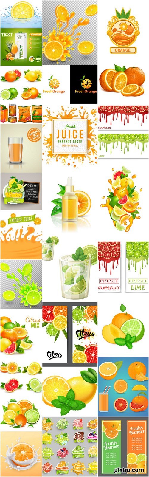 Fresh Citrus Design Elements - 30 Vector