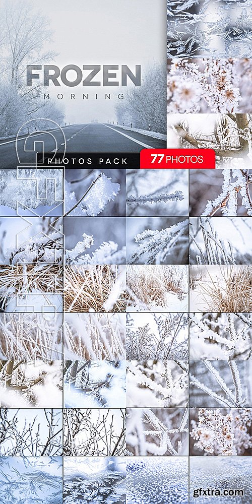 CM - Frozen morning bundle 77pics 1231366