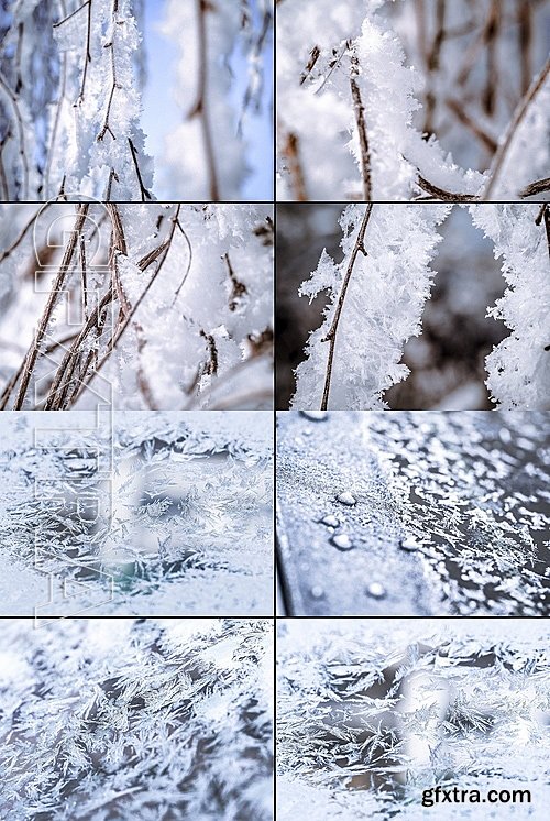 CM - Frozen morning bundle 77pics 1231366