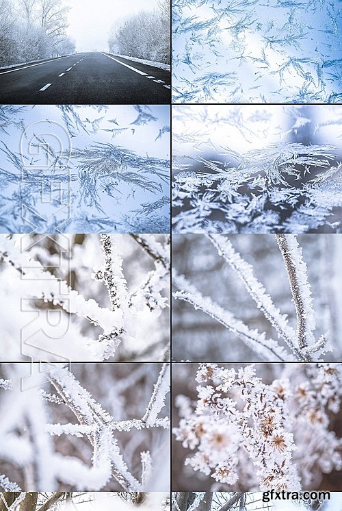 CM - Frozen morning bundle 77pics 1231366