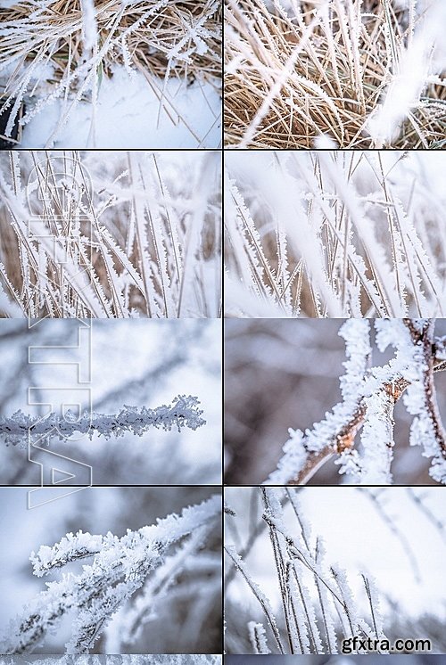 CM - Frozen morning bundle 77pics 1231366