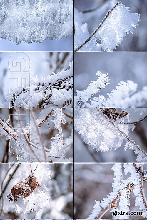 CM - Frozen morning bundle 77pics 1231366