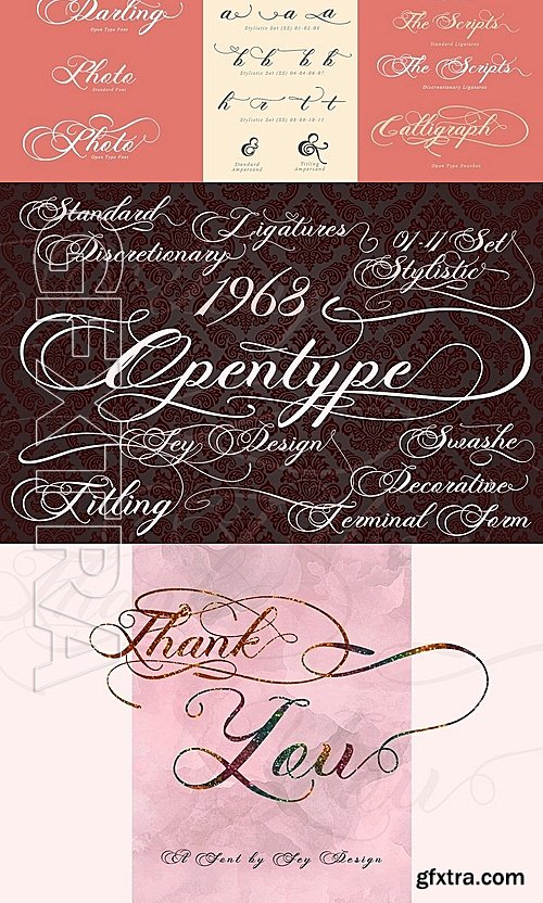 CM - Photograph - Script Wedding Font 1232046