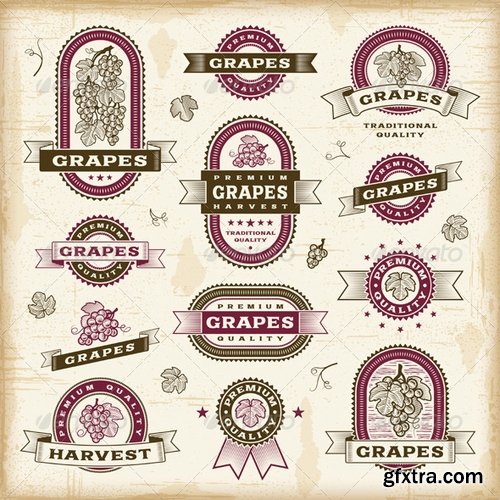 GraphicRiver - Vintage Grapes Labels Set 4262741