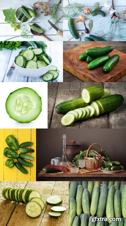 Fresh Cucumber - 10 x JPEGs