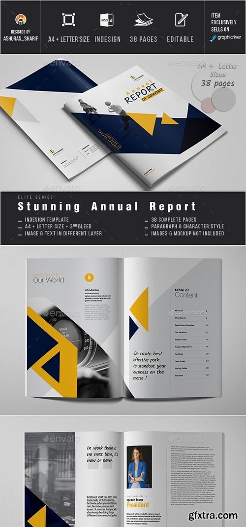 GraphicRiver - Annual Report 18756570