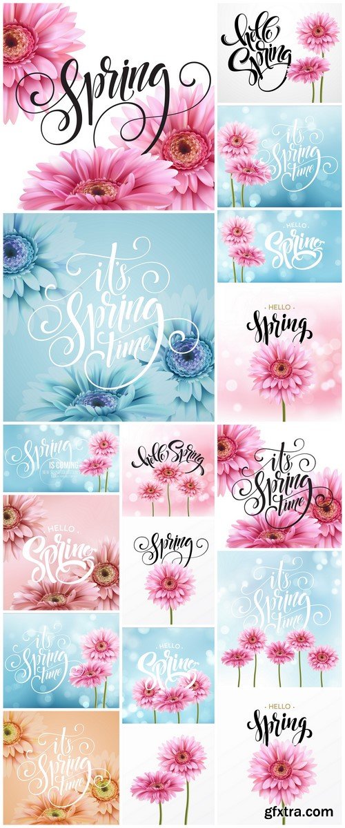 Gerbera Flower Background and Spring Lettering 17X EPS