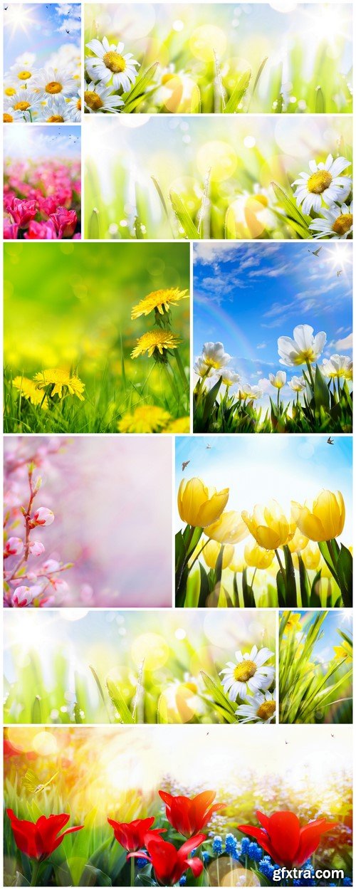 Art abstract sunny spring flower background 11X JPEG