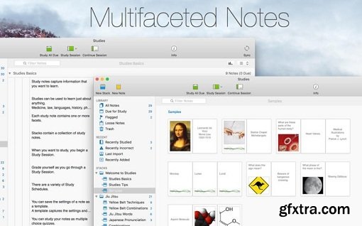 Studies – Flashcards for Serious Students 1.1.4 (Mac OS X)