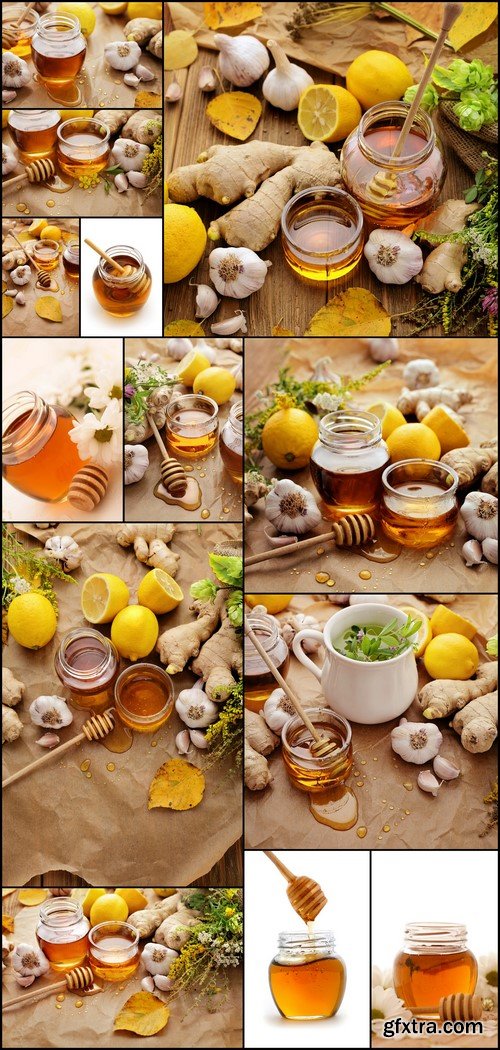 Honey, ginger, garlic, lemon 13X JPEG